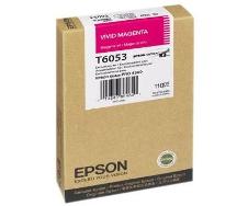 Epson T605300 -2 Ink Picture for website.JPG